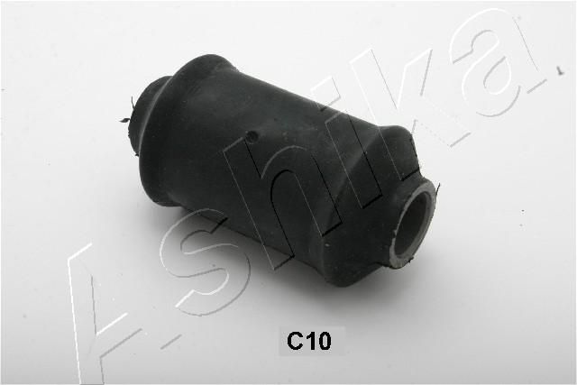 GOM-C10_1.JPG
