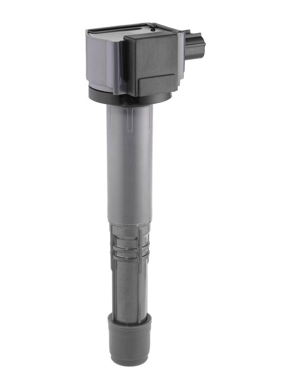 BorgWarner (BERU) ZSE308 Ignition Coil