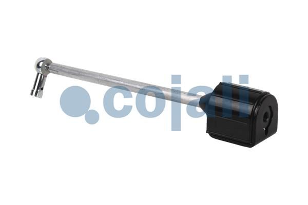 COJALI 6002221 Suspension Strut, air suspension