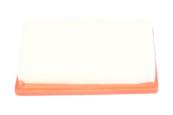 Kavo Parts Воздушный фильтр