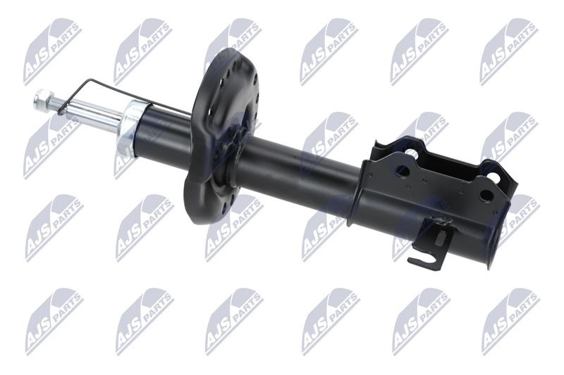 Amort, NTY A-PL-029