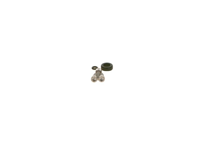 BOSCH F01C300131 Rubber Ring