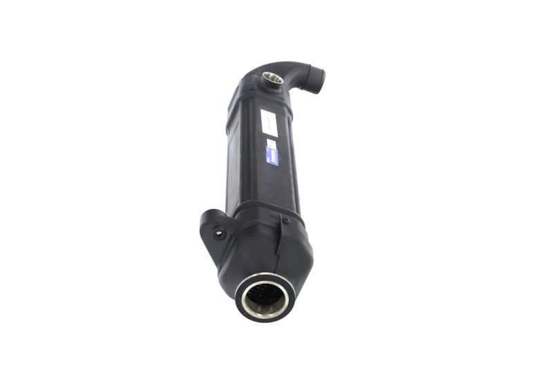 REMANTE 010-001-000025R EGR Module
