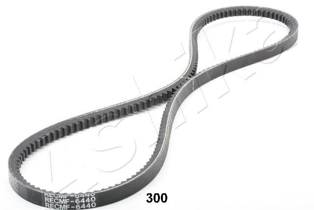 94-03-300_1.JPG