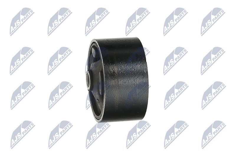 Paigutus, Mootor, NTY ZPS-KA-307