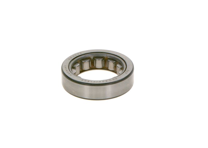 BOSCH 1900910113 Bearing
