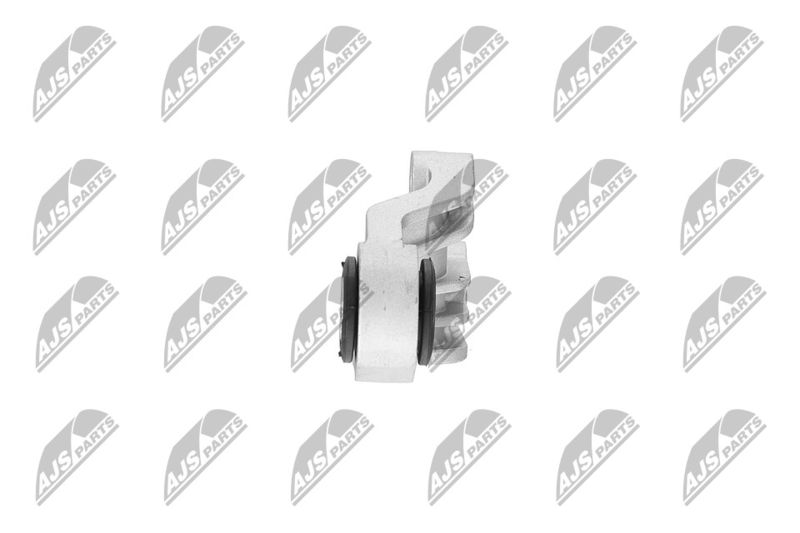 Paigutus, Mootor, NTY ZPS-CH-120