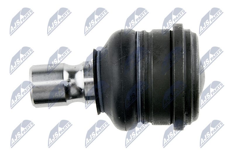 Kande-, juhtliigend, NTY ZSD-MZ-018