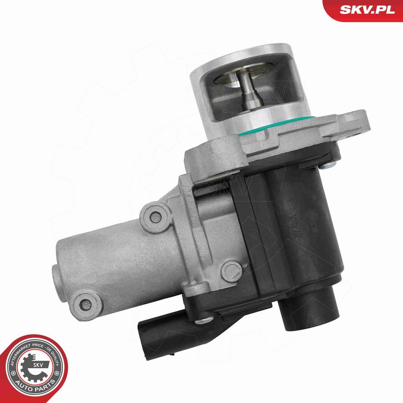 ESEN SKV 14SKV322 EGR Valve