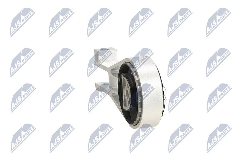Paigutus, Mootor, NTY ZPS-PL-064