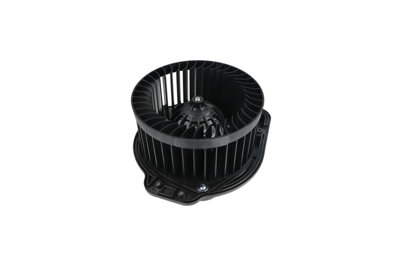 Salongipuhur, NRF 34136