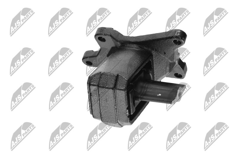 Paigutus, Mootor, NTY ZPS-CH-030