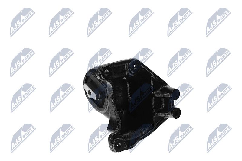 Paigutus, Mootor, NTY ZPS-CH-173