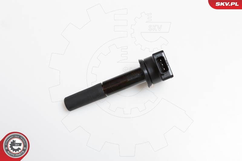 ESEN SKV 03SKV178 Ignition Coil