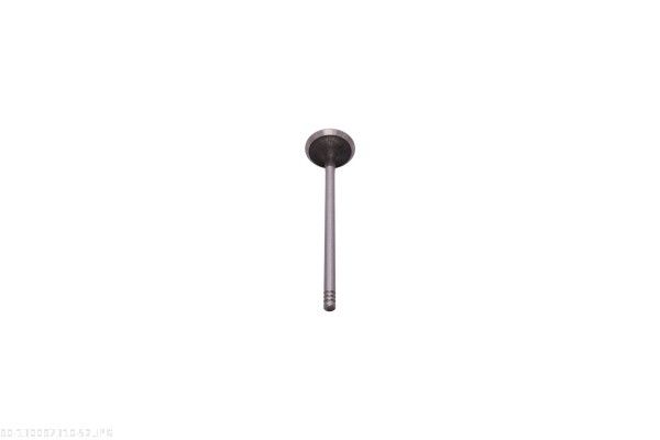 AUTOMEGA 130097310 Exhaust Valve