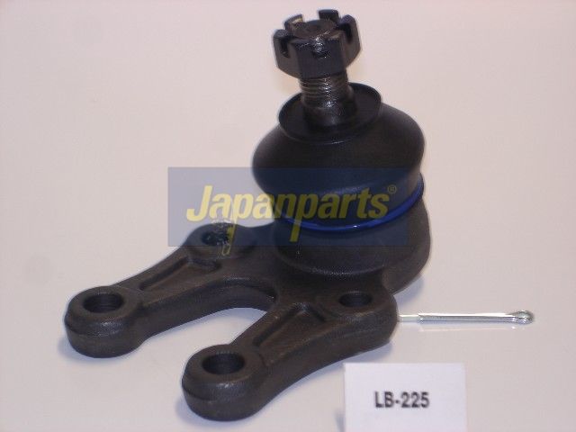 JAPANPARTS Šarnyras / girgždukas