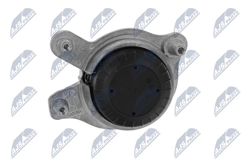 Paigutus, Mootor, NTY ZPS-ME-030