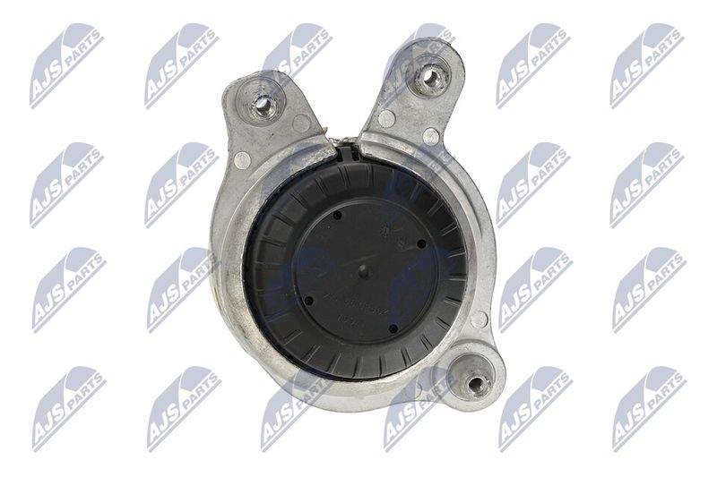 Paigutus, Mootor, NTY ZPS-ME-106