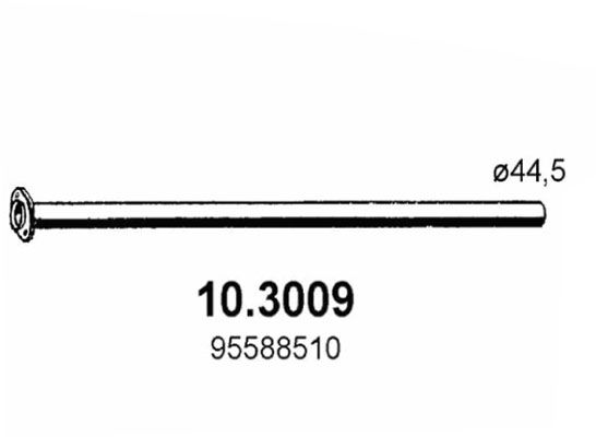 10.3009_1.JPG