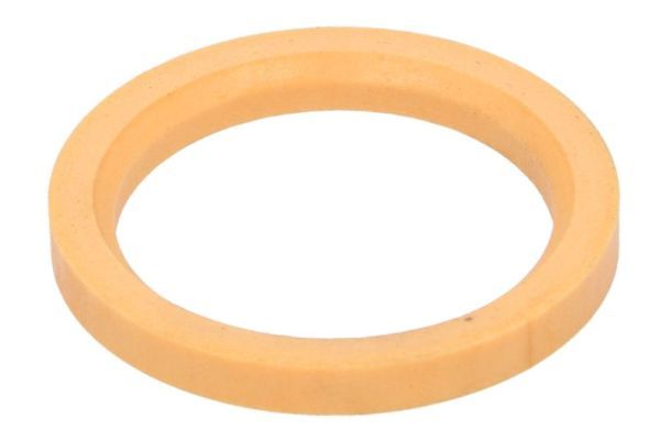 Dichtung, Stabilisatorlagerung (Fahrerhaus)