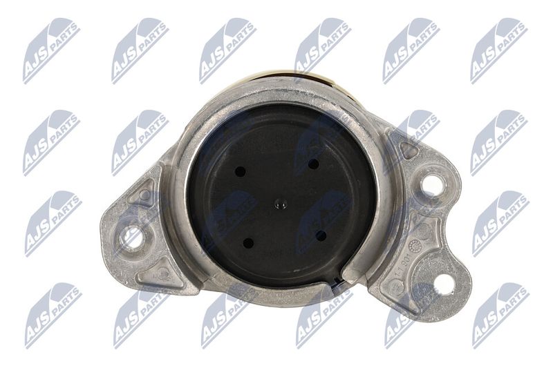 Paigutus, Mootor, NTY ZPS-ME-080