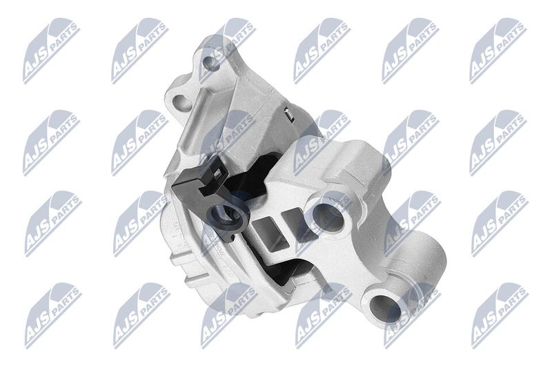 Paigutus, Mootor, NTY ZPS-CH-127