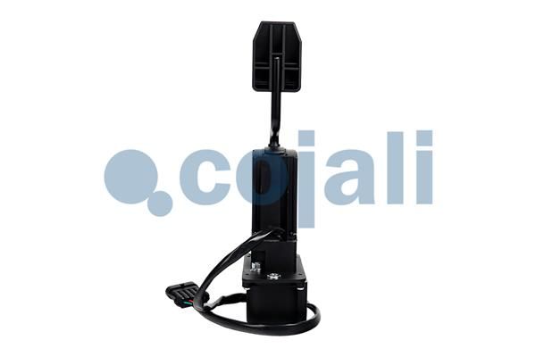 Senzor, poloha akceleračního pedálu 2260725