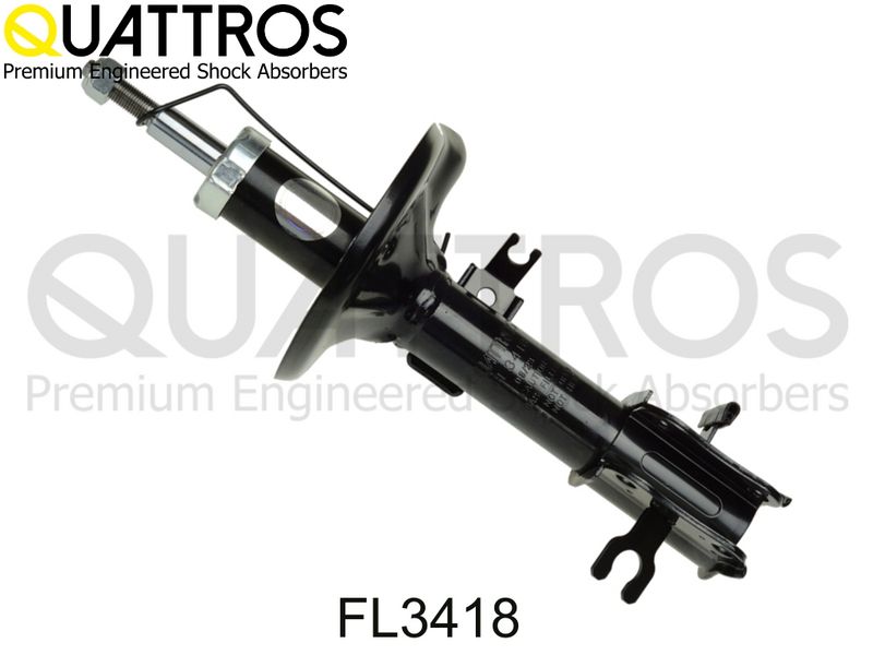 fl3418.JPG