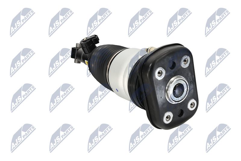 Amort, NTY A-BM-101
