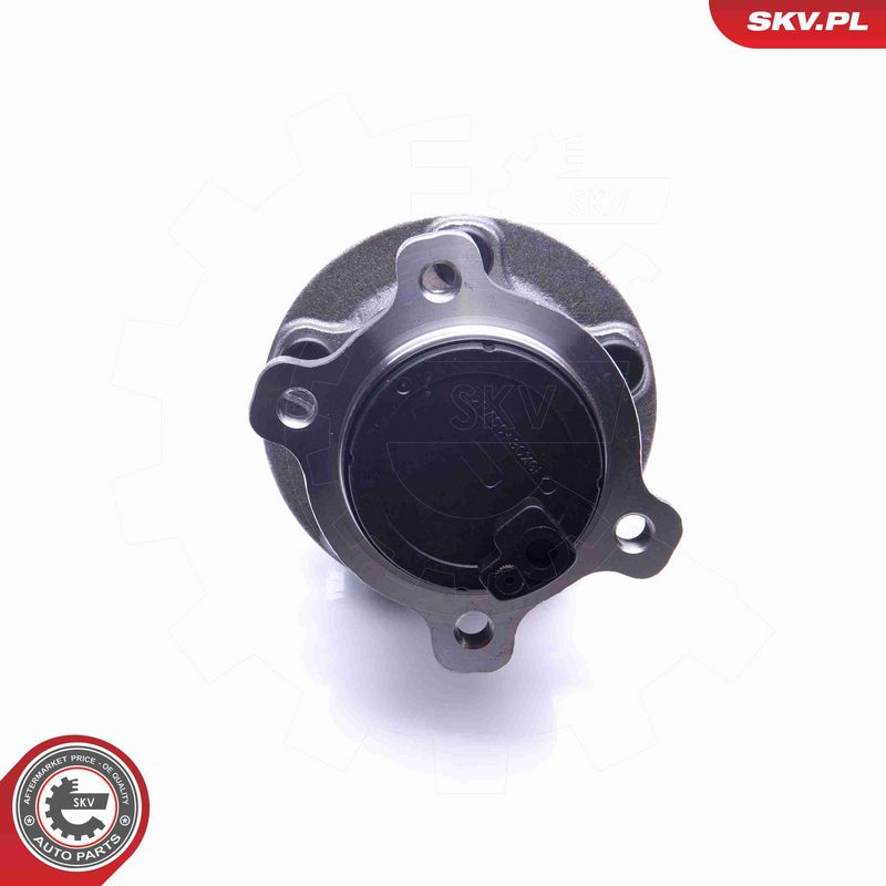 ESEN SKV 29SKV268 Wheel Bearing Kit