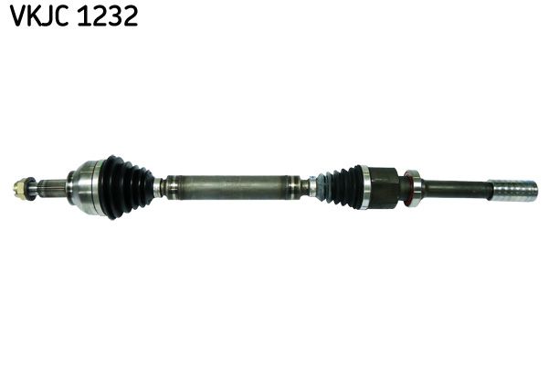 VKJC 1232.JPG