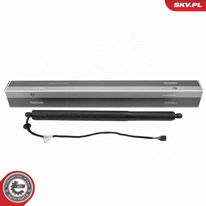 ESEN SKV 52SKV281 - Electric Motor, tailgate