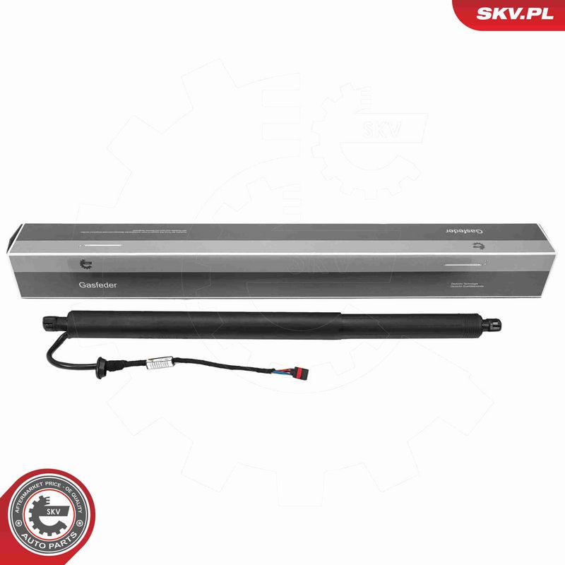 ESEN SKV 52SKV204 - Electric Motor, tailgate