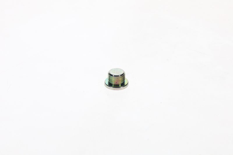 Surub F 002 D13 566 BOSCH