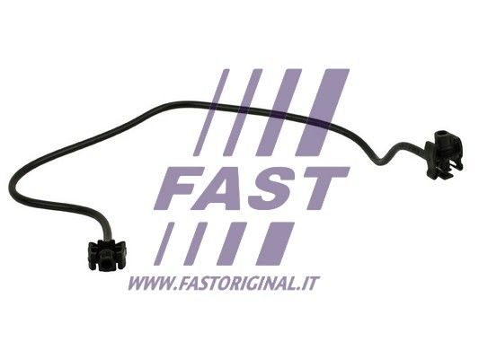 FT61065_1_1.JPG