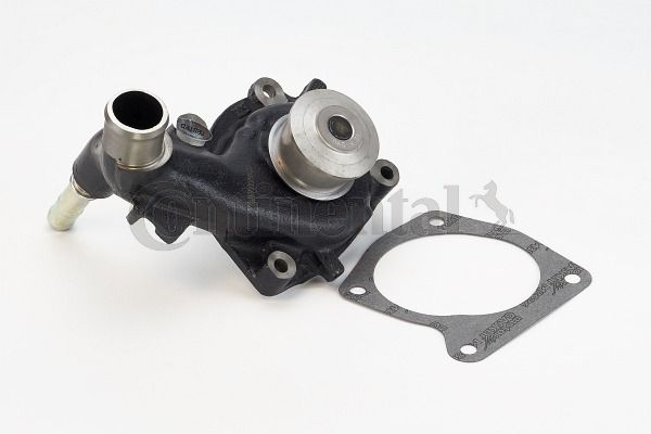 WP6054.JPG