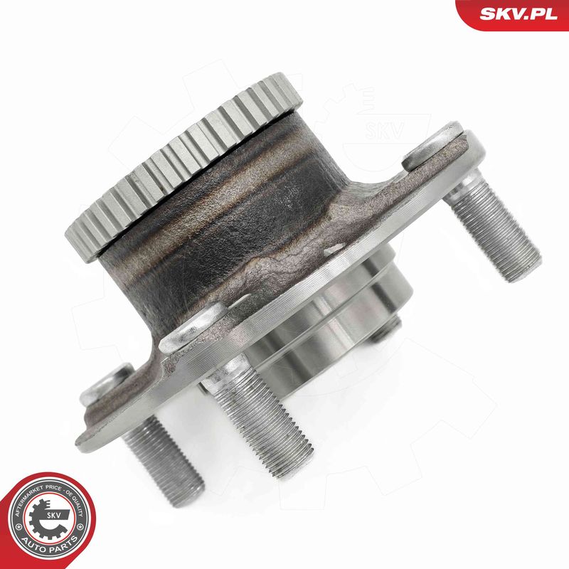 ESEN SKV 29SKV646 Wheel Bearing Kit