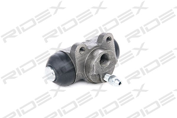 8377948_992.JPG