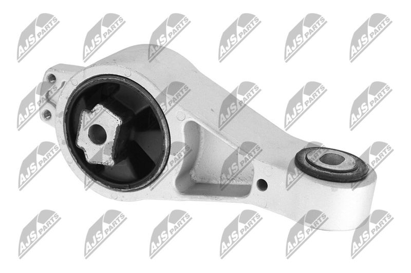 Paigutus, Mootor, NTY ZPS-CH-056