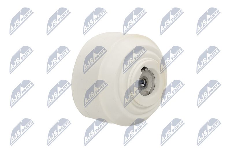 Paigutus, Mootor, NTY ZPS-ME-103