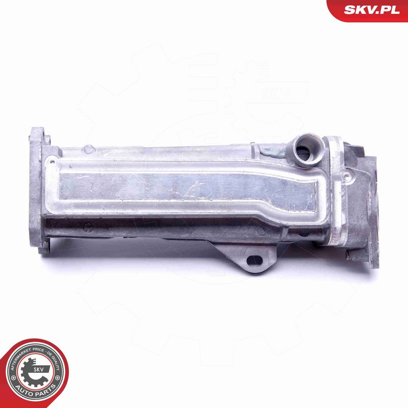 ESEN SKV 14SKV191 EGR Valve
