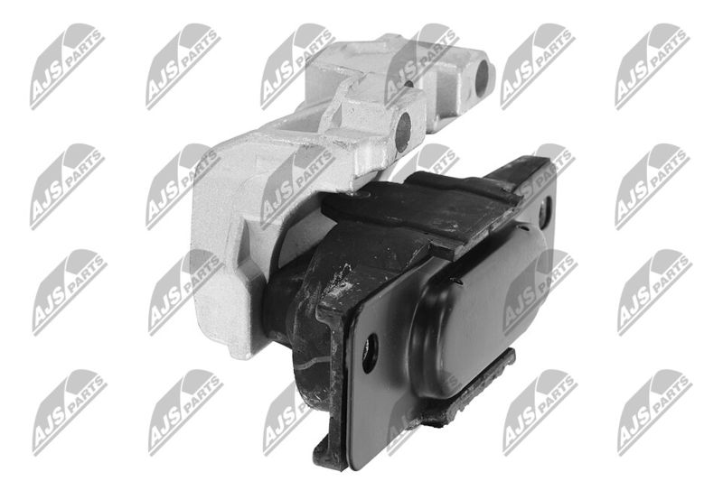 Paigutus, Mootor, NTY ZPS-CH-028