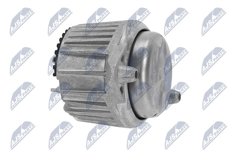 Paigutus, Mootor, NTY ZPS-ME-016