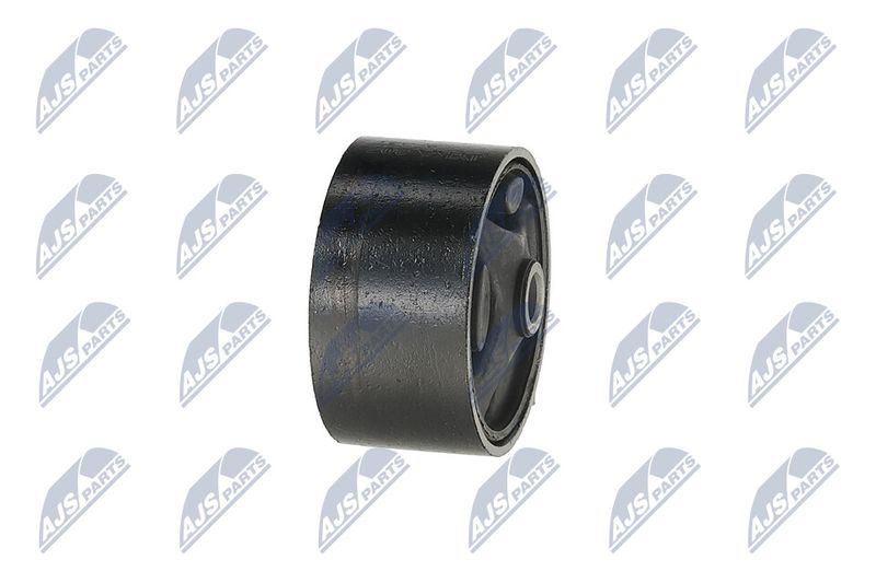 Paigutus, Mootor, NTY ZPS-KA-307