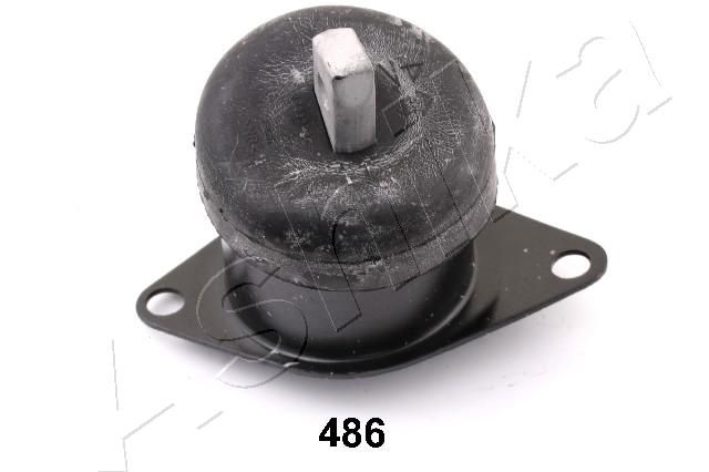 GOM-486_1.JPG