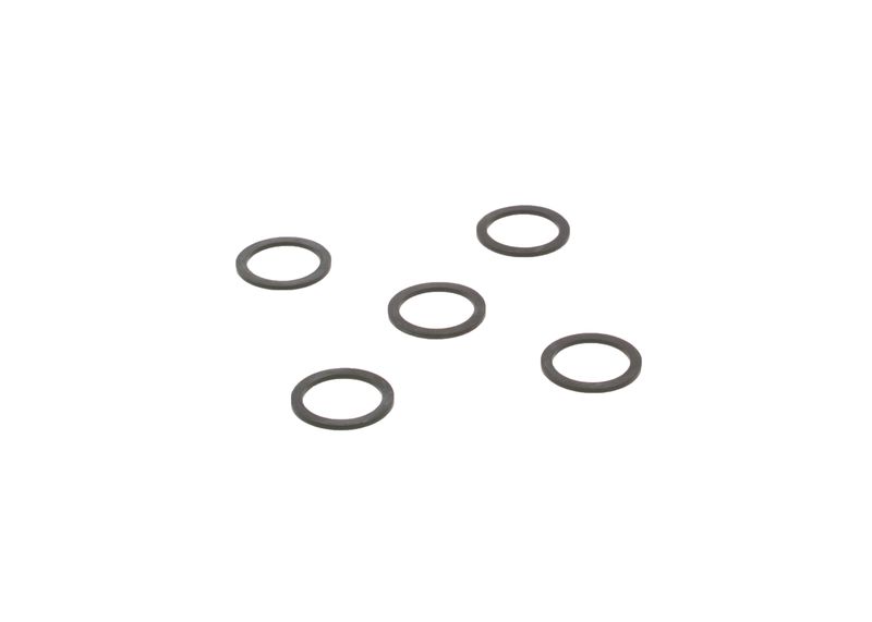 Garnitura 2 440 109 005 BOSCH