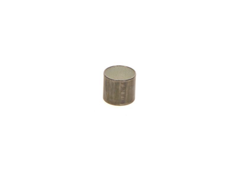 BOSCH F00N201988 Bush