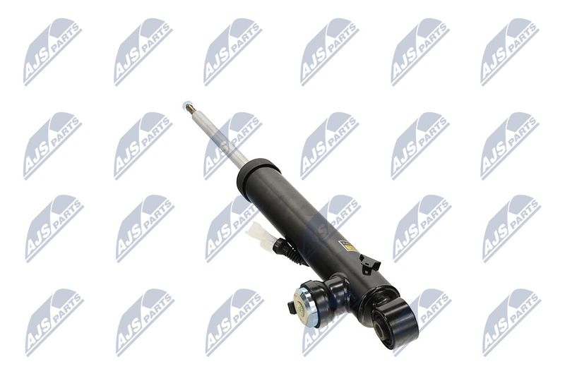 Amort, NTY A-PL-066