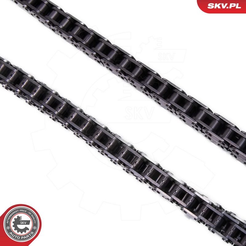 Mootori keti komplekt, ESEN SKV 21SKV257
