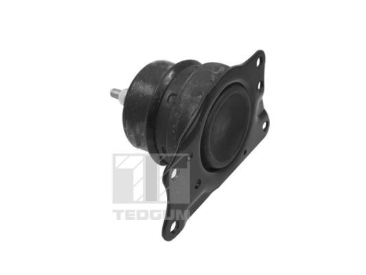 TED40385_#3.JPG